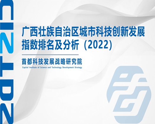 大鸡巴操逼高清视频【成果发布】广西壮族自治区城市科技创新发展指数排名及分析（2022）